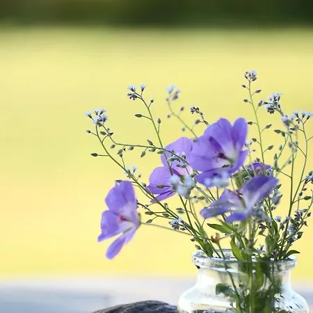 ゲストハウス Bakkehuset Skovby (Aeroe)