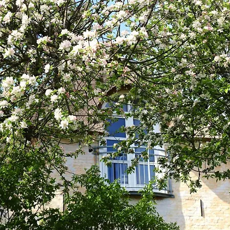 Bakkehuset 3* Skovby (Aeroe)