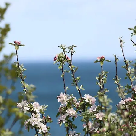 Bakkehuset ゲストハウス