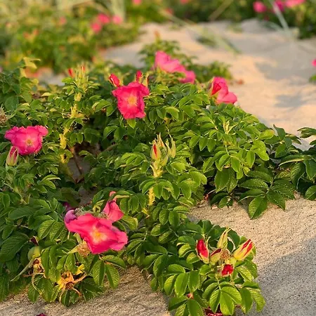 Bakkehuset 3* Skovby (Aeroe)