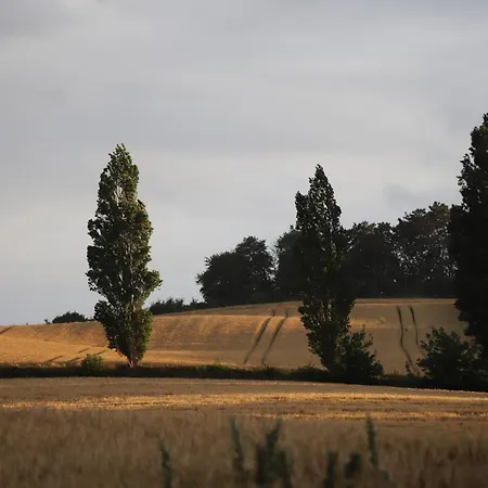 Bakkehuset Skovby (Aeroe)
