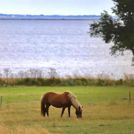 Bakkehuset ゲストハウス Skovby (Aeroe)