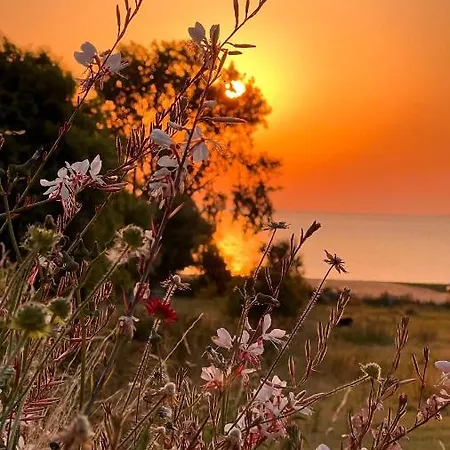 ゲストハウス Bakkehuset Skovby (Aeroe)