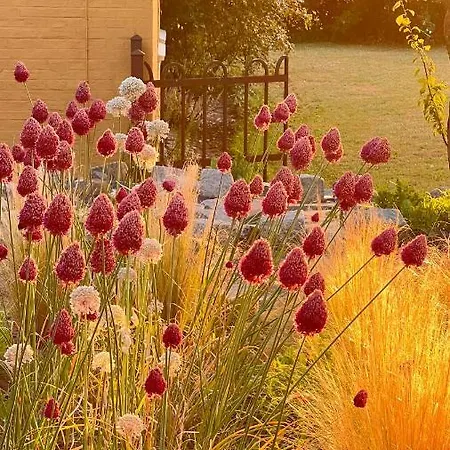 ゲストハウス Bakkehuset