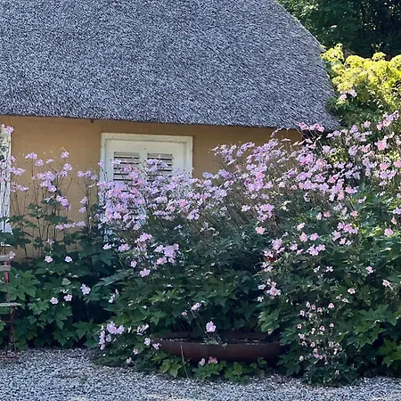 Bakkehuset ゲストハウス