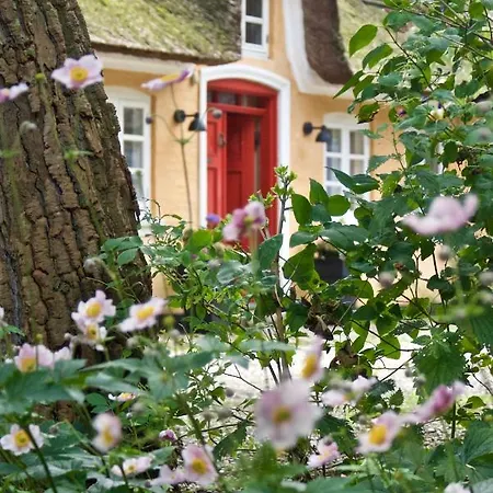 Gæstehus Bakkehuset