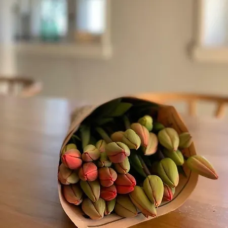 ゲストハウス Bakkehuset