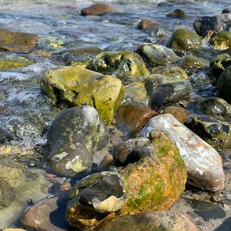 Bakkehuset ゲストハウス