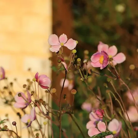 ゲストハウス Bakkehuset