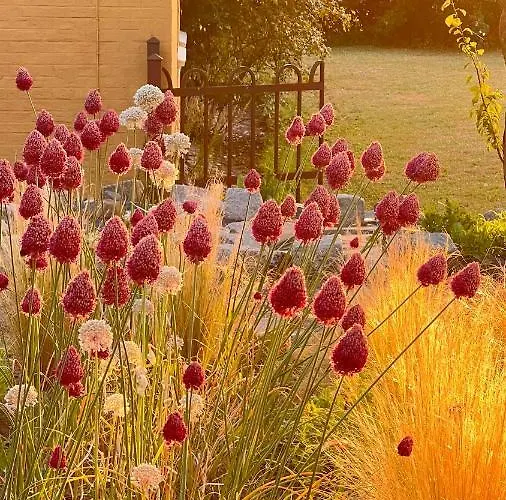 게스트하우스 Bakkehuset