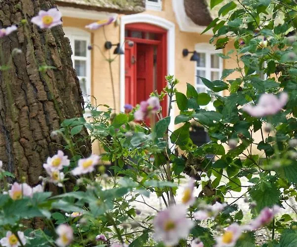 Πανσιόν Bakkehuset